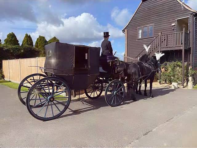 Horse-drawn carriage with driver