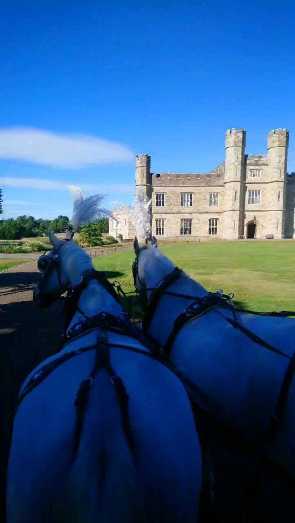 Horses in front of castle