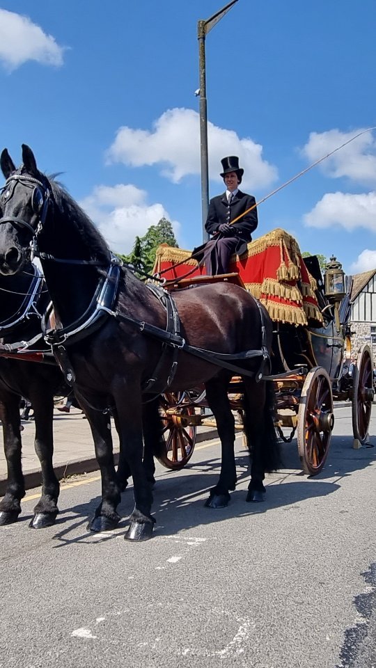 Horse-drawn carriage with driver