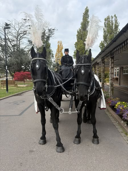Horse-drawn carriage with driver